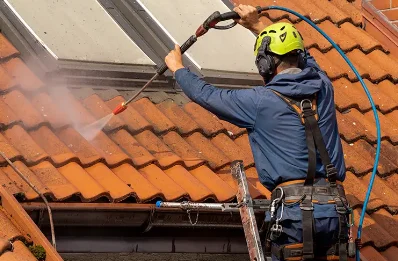 Démoussage et hydrofuge de toiture à Vergné